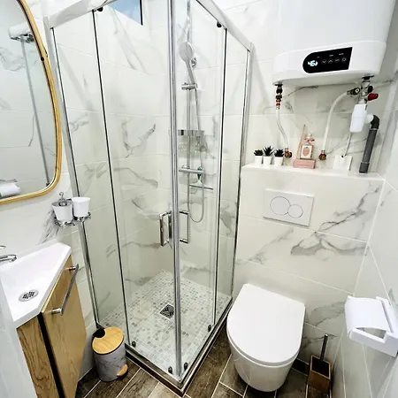 Penthouse With Pool La Croisette 公寓 戛纳