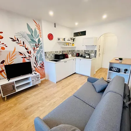 公寓 Penthouse With Pool La Croisette